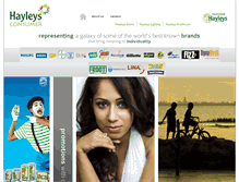 Tablet Screenshot of hayleysconsumer.com